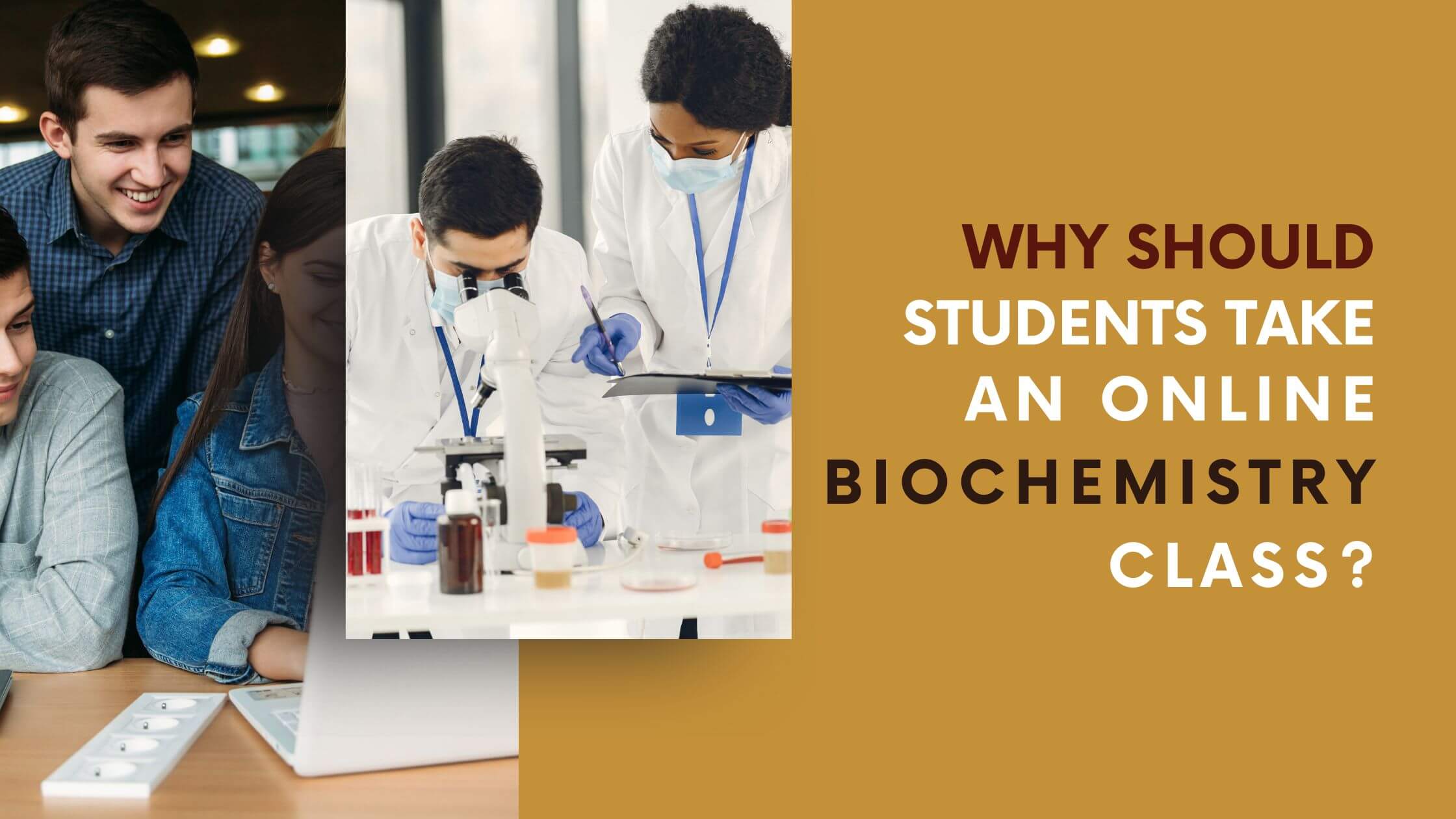 Why should students take an online biochemistry class